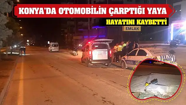 Konya'da otomobilin çarptığı yaya hayatını kaybetti