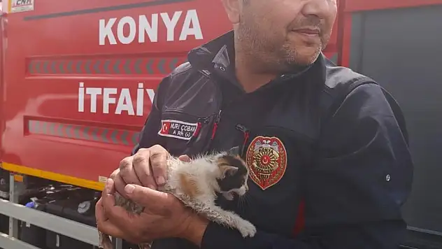 Konya'da otomobilin motoruna sıkışan kedi kurtarıldı
