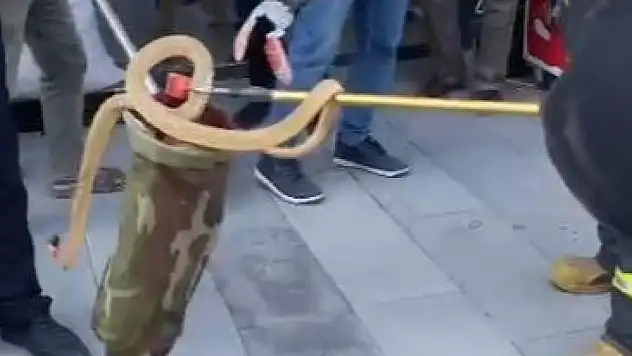 Konya'da park halindeki otomobilin altından yılan çıktı