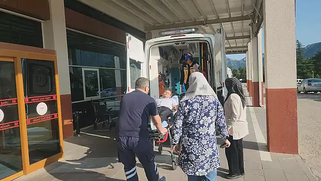 Konya'da pikniğe giden kişiyi yılan ısırdı!