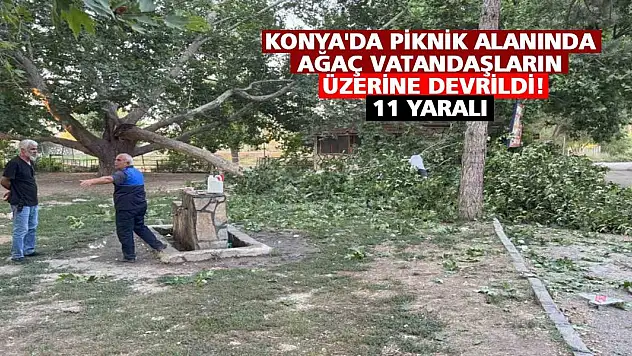 Konya'da piknik alanında ağaç vatandaşların üzerine devrildi!  11 yaralı