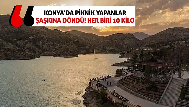 Konya'da piknik yapanlar şaşkına döndü!  Her biri 10 kilo