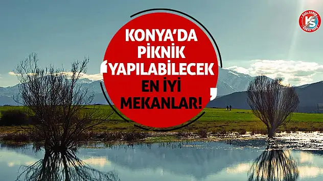 Konya'da piknik yapılabilecek en iyi mekanlar!