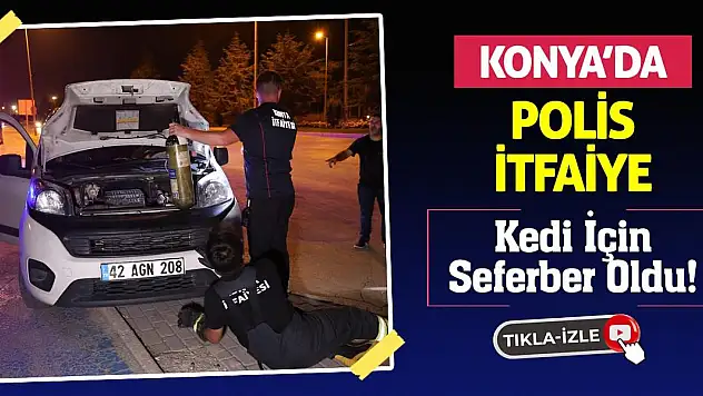 Konya'da Polis İtfaiye Kedi İçin Seferber Oldu!