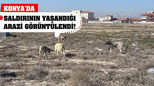 Konya'da saldırının yaşandığı arazi görüntülendi!
