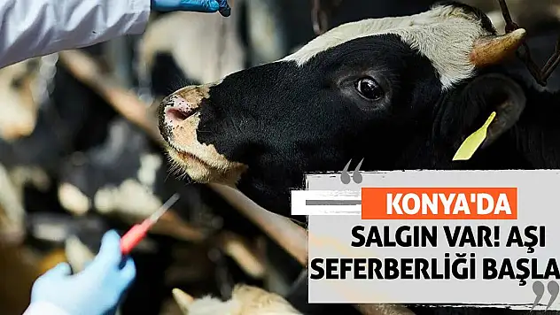 Konya'da salgın var! Aşı seferberliği başladı