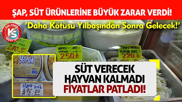 Konya'da Şap Sonrası Büyük Kriz: Süt Üretimi Dibi Gördü!