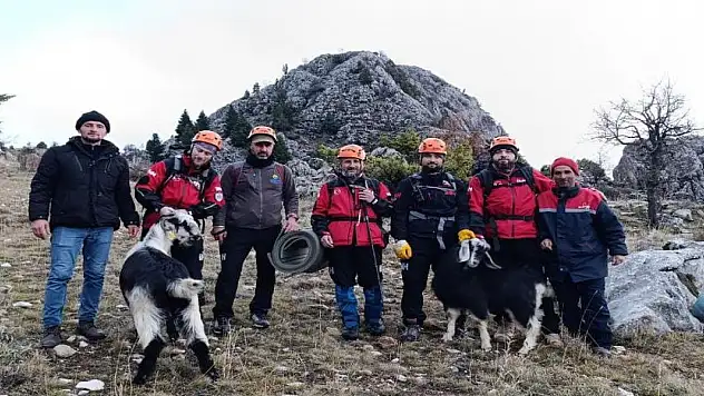 Konya'da sarp kayalıklarda keçi kurtarma operasyonu