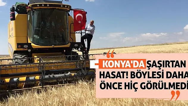 Konya'da şaşırtan hasat! Böylesi daha önce hiç görülmedi