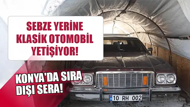 Konya'da şaşırtan sera: Sebze yerine klasik otomobil yetişiyor!