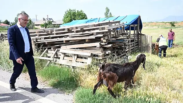 Konya'da satmak için aldıkları küçükbaşlar telef olan aileye koyun verildi