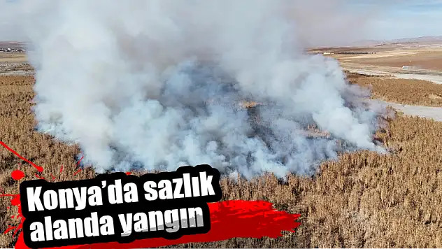 Konya'da sazlık alanda yangın