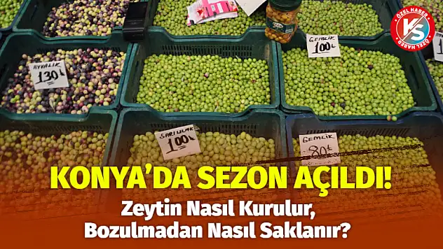 Konya'da Sezon Açıldı! Zeytin Nasıl Kurulur, Bozulmadan Nasıl Saklanır?