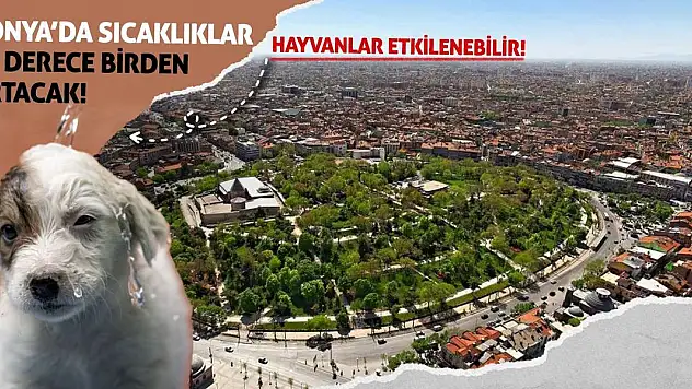 Konya'da Sıcaklıklar 10 Derece Birden Artacak! Hayvanlar Etkilenebilir...