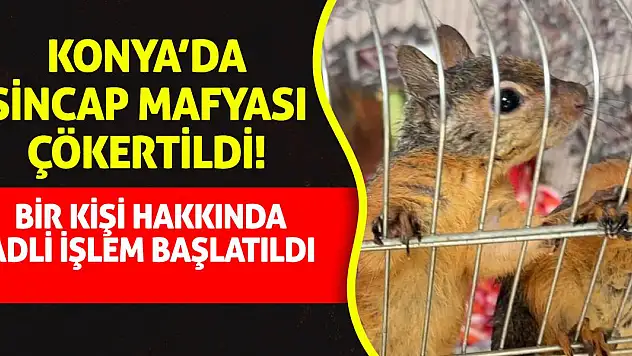 Konya'da Sincap Mafyası Çökertildi! Bir kişi hakkında adli işlem başlatıldı