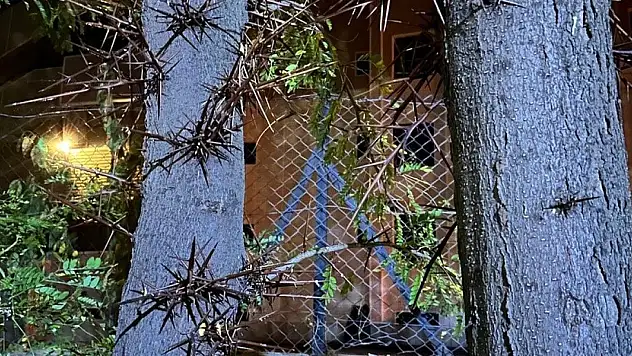 Konya'da sırtına diken batan genç yaralandı