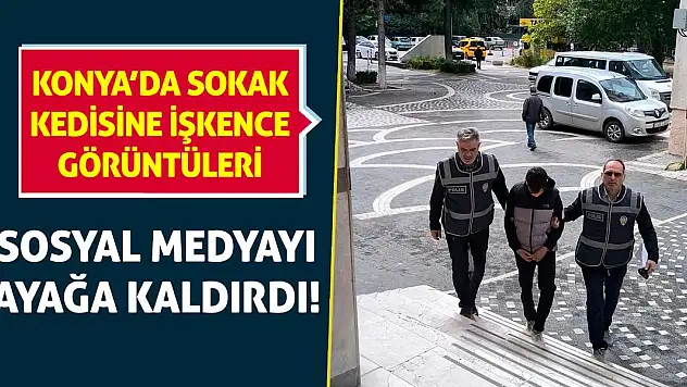 Konya'da Sokak Kedisine İşkence Görüntüleri Sosyal Medyayı Ayağa Kaldırdı!