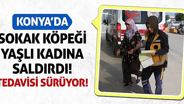 Konya'da Sokak Köpeği Yaşlı Kadına Saldırdı! Tedavisi Sürüyor!