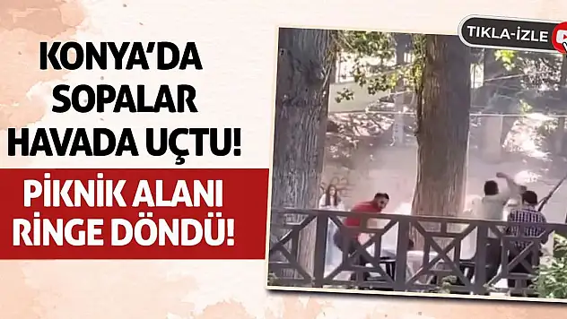 Konya'da Sopalar Havada Uçtu! Piknik Alanı Ringe Döndü!