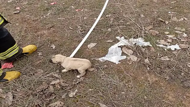 Konya'da su kuyusuna düşen köpeği itfaiye kurtardı