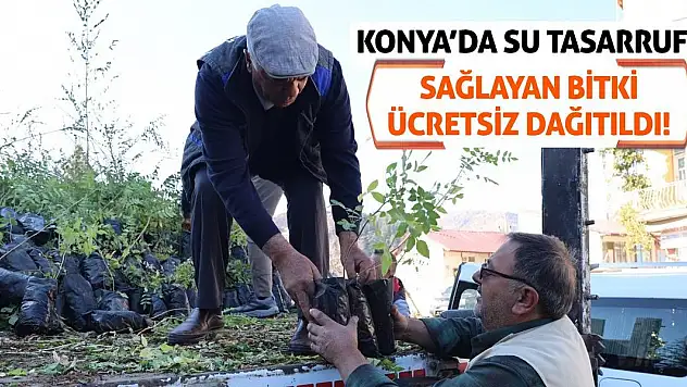 Konya'da Su Tasarrufu Sağlayan Bitki Ücretsiz Dağıtıldı!
