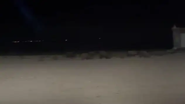 Konya'da tarım alanlarında domuz nöbeti