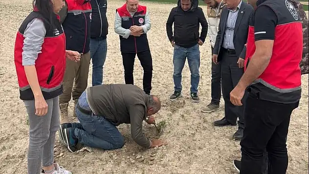 Konya'da tarım alanlarında kontroller sürüyor