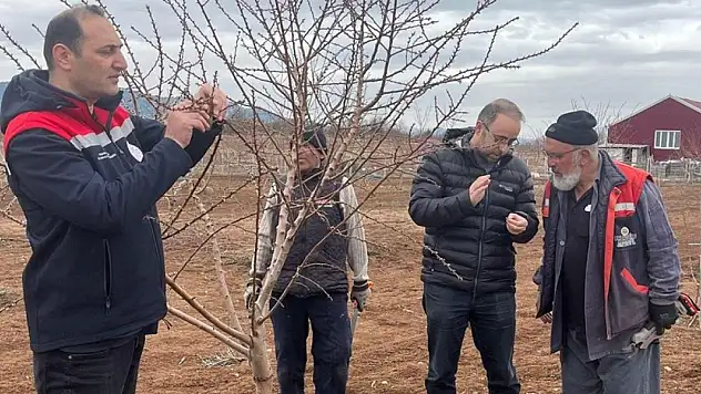 Konya'da tarım görevlileri zirai don kontrolü yaptı