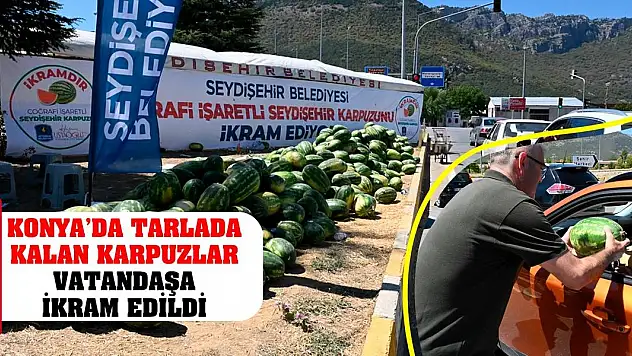 Konya'da Tarlada Kalan Karpuzlar Vatandaşa İkram Edildi