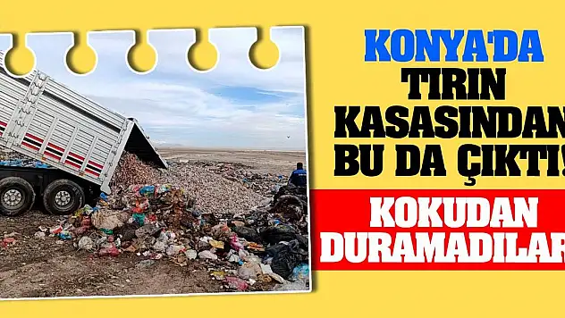 Konya'da tırın kasasından bu da çıktı! Kokudan duramadılar!