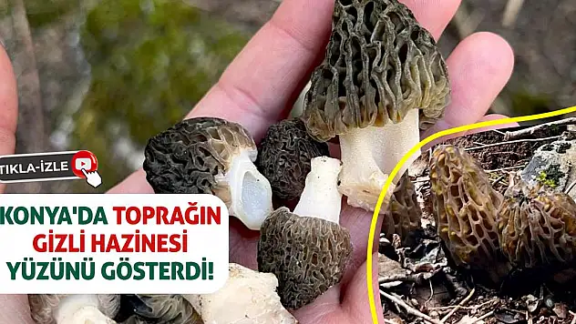 Konya'da Toprağın Gizli Hazinesi Yüzünü Gösterdi!