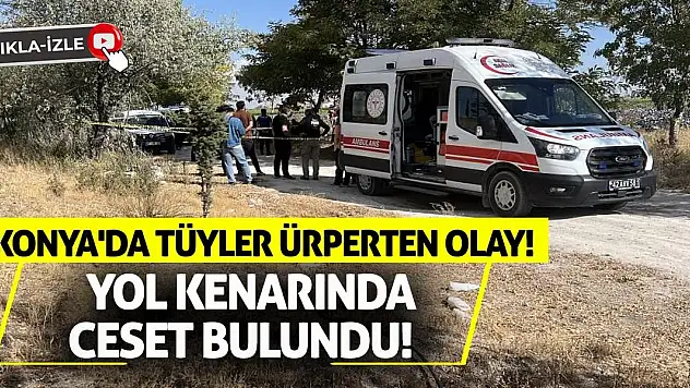 Konya'da Tüyler Ürperten Olay: Yol Kenarında Ceset Bulundu!