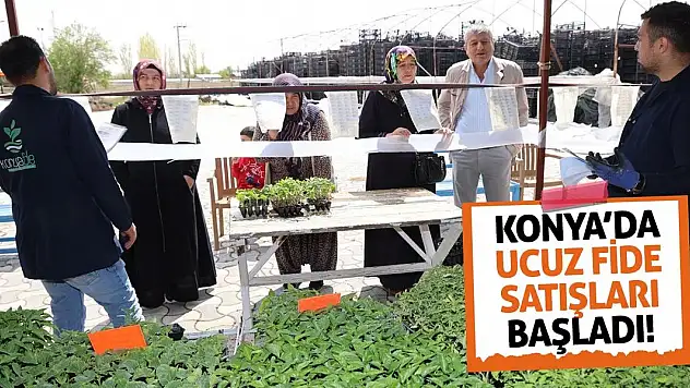 Konya'da Ucuz Fide Satışları Başladı!
