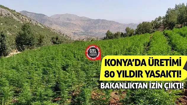 Konya'da üretimi 80 yıldır yasaktı! Bakanlıktan İzin Çıktı!