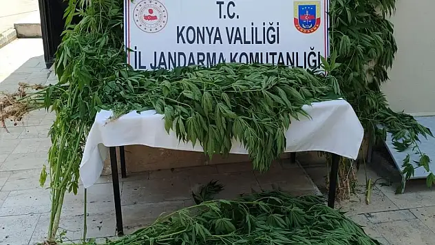 Konya'da Uyuşturucuya Ağır Darbe!