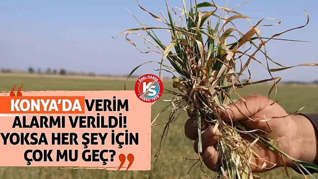 Konya'da Verim Alarmı Verildi! Yoksa Her Şey İçin Çok Mu Geç?