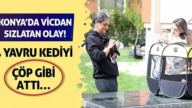 Konya'da Vicdan Sızlatan Olay! 4 Yavru Kediyi Çöp Gibi Attı…