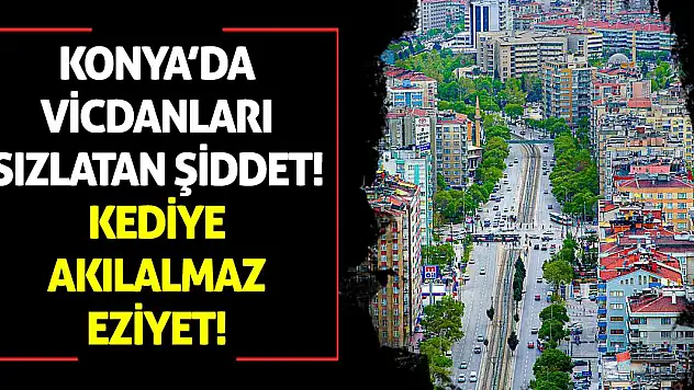 Konya'da Vicdanları Sızlatan Şiddet: Kediye Akılalmaz Eziyet!