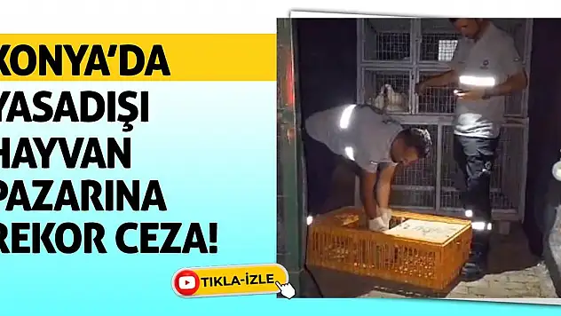Konya'da yasadışı hayvan pazarına rekor ceza!