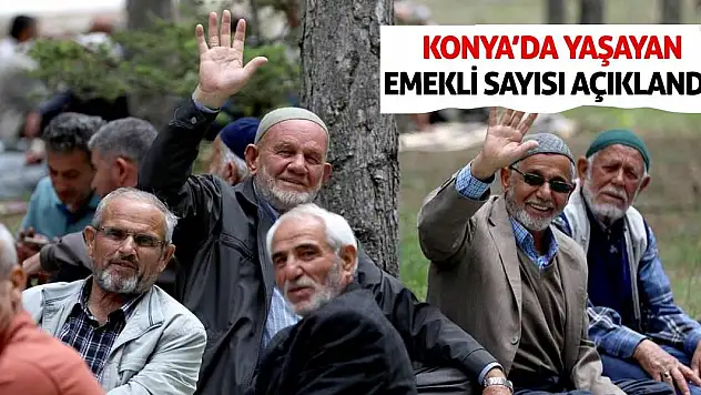Konya'da Yaşayan Emekli Sayısı Açıklandı!