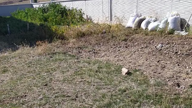 Konya'da yaşlı çift yedikleri mantardan zehirlendi