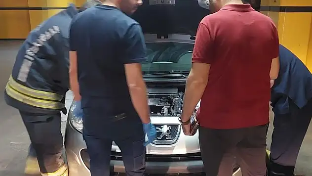 Konya'da yavru kedi 4 saatlik uğraş sonrası kurtarıldı