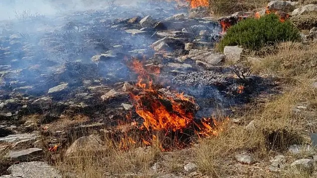 Konya'da yaylada örtü yangını