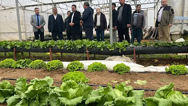 Konya'da yaz seraları üreticilerle buluşturuldu
