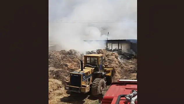 Konya'da yem bitkilerinin olduğu çiftlikte yangın