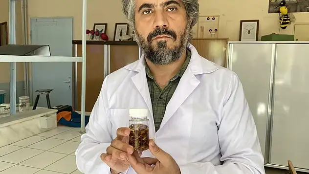 Konya'da yeni akrep türü keşfedildi