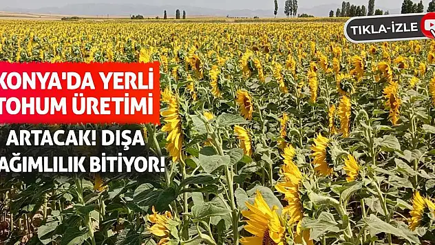 Konya'da Yerli Tohum Üretimi Artacak! Dışa Bağımlılık Bitiyor!