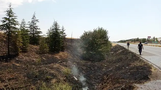 Konya'da yeşil alan yandı, ağaçlar zarar gördü!