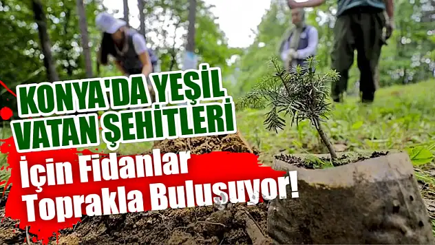 Konya'da Yeşil Vatan Şehitleri İçin Fidanlar Toprakla Buluşuyor!