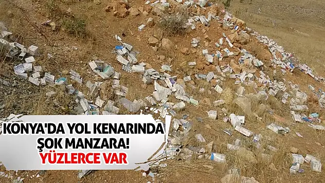 Konya'da Yol Kenarında Şok Manzara! Yüzlerce Var